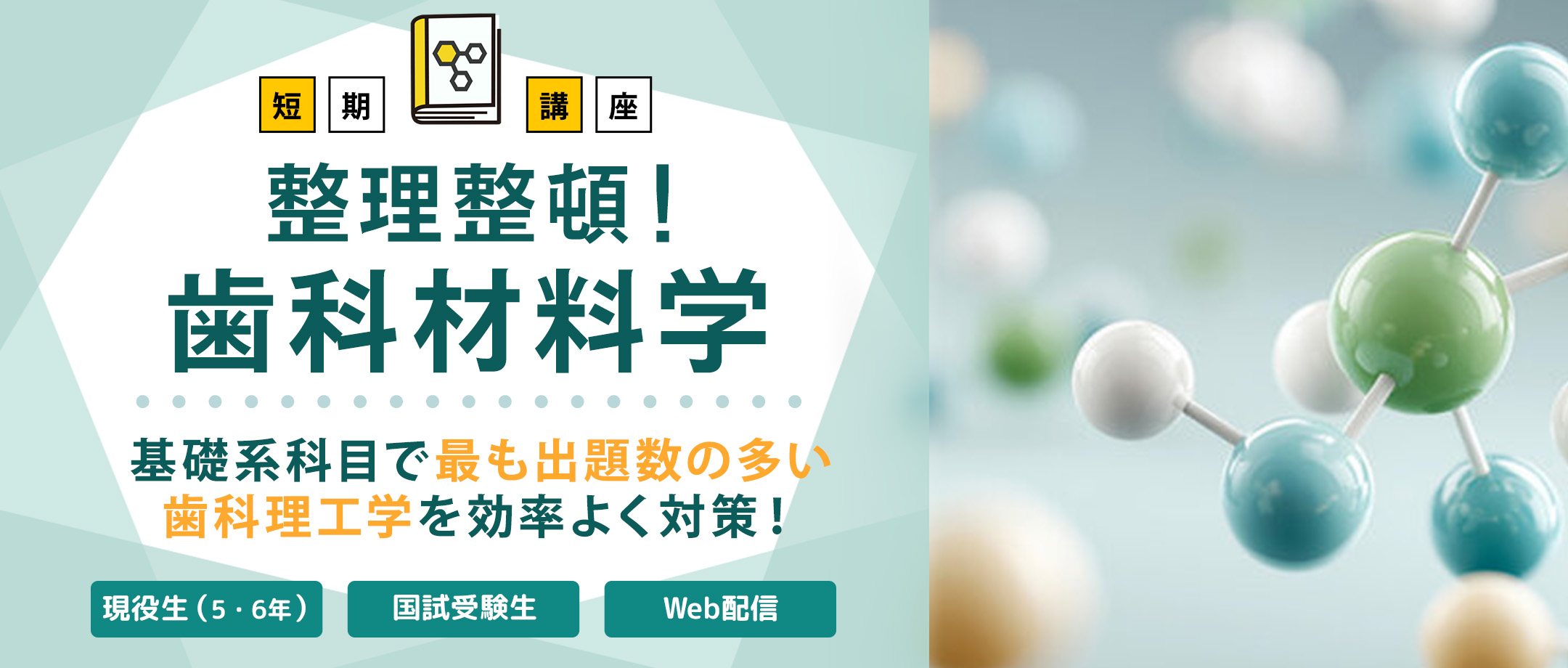 歯科材料学