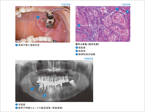 まとめの表や図で知識を整理!
